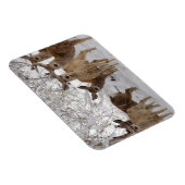 Mule Deer Wyoming Magneet (Rechterzijde)