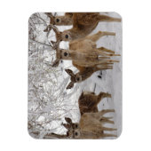 Mule Deer Wyoming Magneet (Verticaal)
