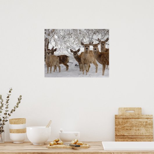 Mule Deer Wyoming Poster (Keuken)