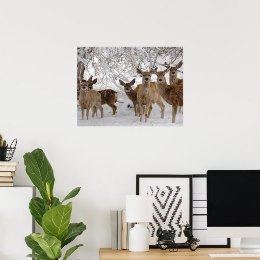 Mule Deer Wyoming Poster (Thuiskantoor)