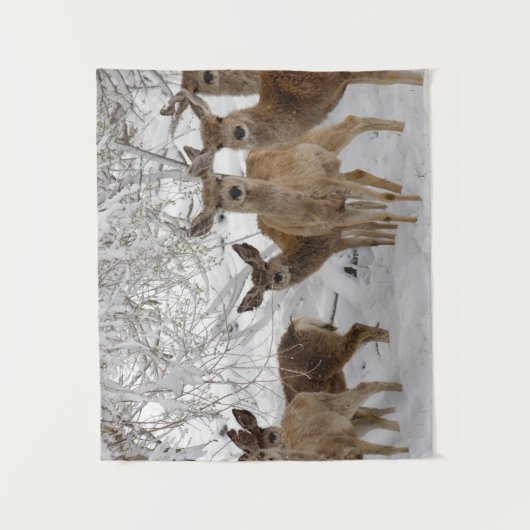 Mule Deer Wyoming Wandkleed (Voorkant)