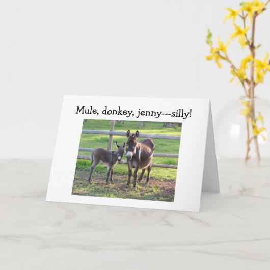 MULE, DONKEY, JENNIE-SAD EN BLAUW ZONDER U KAART (Gele Bloem)