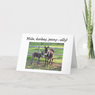 MULE, DONKEY, JENNIE-SAD EN BLAUW ZONDER U KAART