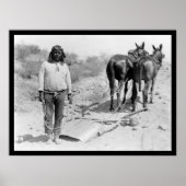Mule-draw Plow en Indian 1920 Poster (Voorkant)