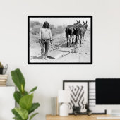 Mule-draw Plow en Indian 1920 Poster (Thuiskantoor)