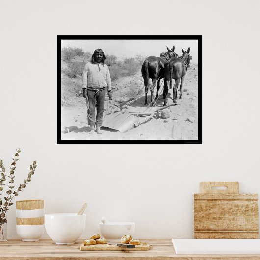 Mule-draw Plow en Indian 1920 Poster (Keuken)