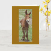 Mule Greeting Card Kaart (Gele Bloem)
