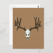 Mule herenschil briefkaart (Voorkant / Achterkant)