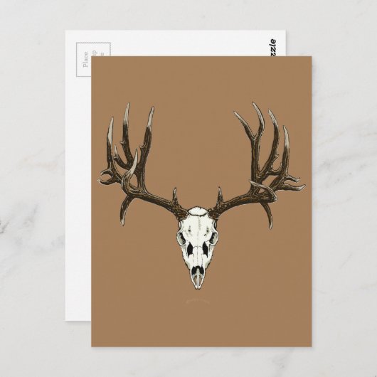 Mule herenschil briefkaart (Voorkant / Achterkant)