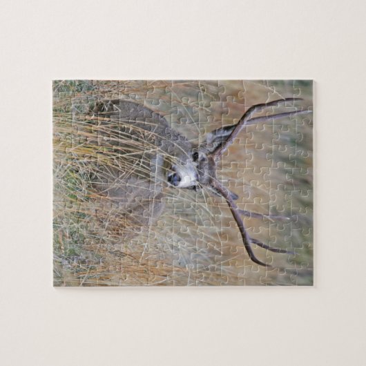 Mule hert 15 legpuzzel (Horizontaal)