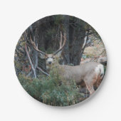 Mule hert bult papieren bordje (Voorkant)