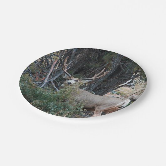 Mule hert bult papieren bordje (Gekanteld)