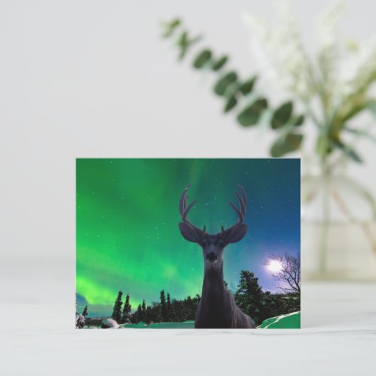 Mule herten en Aurora borealis Briefkaart (Staand voorkant)