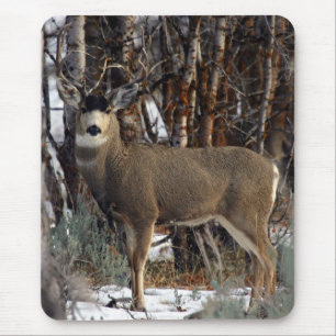 Mule herten,wellsville muismat