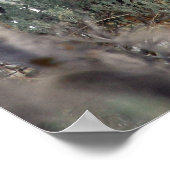 Mule-hertenAfbeelding,4 Poster (Hoek)