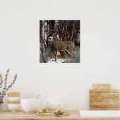 Mule-hertenAfbeelding,4 Poster (Keuken)