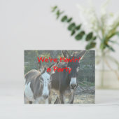 Mule Postcard-any-customize Briefkaart (Staand voorkant)