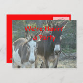 Mule Postcard-any-customize Briefkaart (Voorkant / Achterkant)