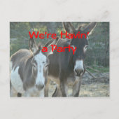 Mule Postcard-any-customize Briefkaart (Voorkant)