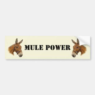 Mule Power Bumpersticker