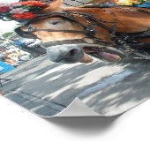 Mule-rit Poster (Hoek)