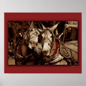 Mule Speak Poster (Voorkant)