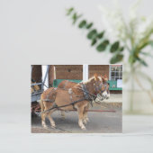 Mule Team Briefkaart (Staand voorkant)