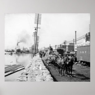 Mule Teams op de Levee, New Orleans: 1903 Poster