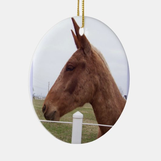 Mule Tide Ornament (Rechts)