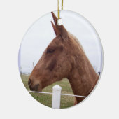 Mule Tide Ornament (Links)