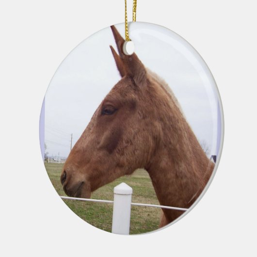 Mule Tide Ornament (Links)