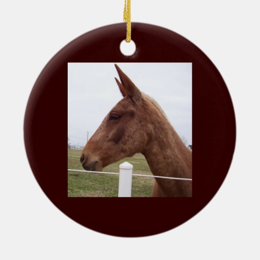 Mule Tide Ornament (Achterkant)