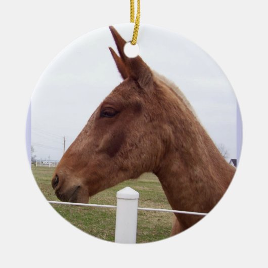Mule Time Ornament (Voorkant)