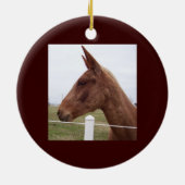 Mule Time Ornament (Achterkant)