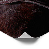 Mule Twosome Poster (Hoek)