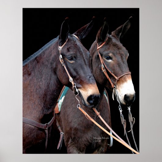 Mule Twosome Poster (Voorkant)