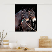 Mule Twosome Poster (Keuken)