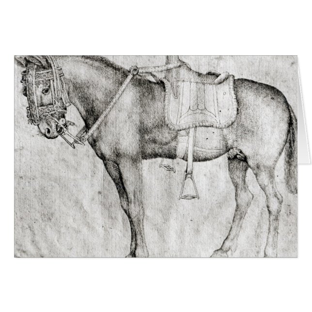 Mule uit het Album van de Vallardi (Voorkant Horizontaal)