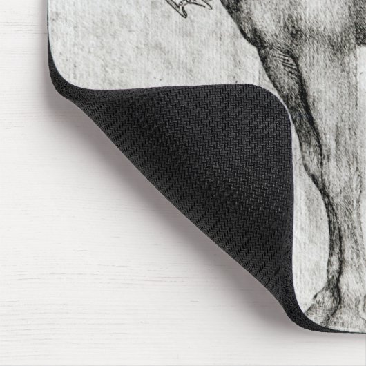 Mule uit het Album van de Vallardi Muismat (Hoek)