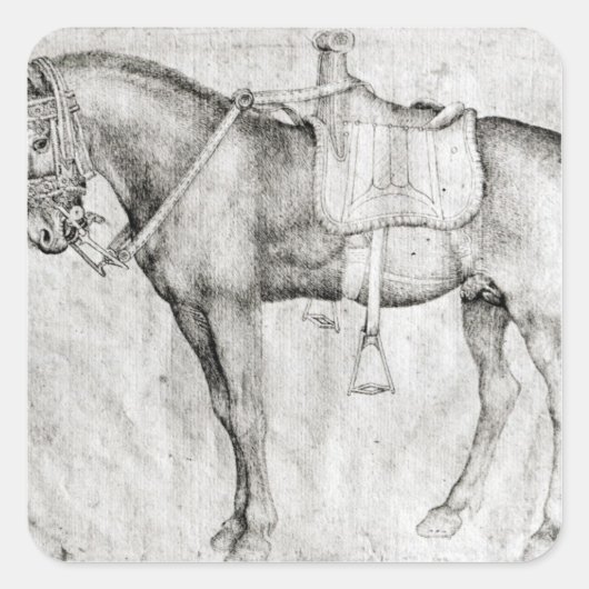 Mule uit het Album van de Vallardi Vierkante Sticker (Voorkant)