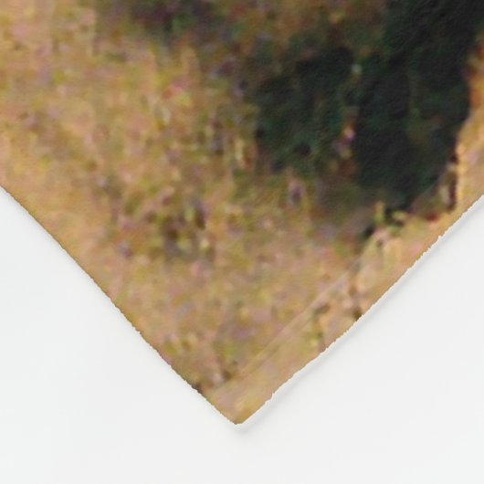 "Mule" Westerne kunst van Will James Fleece Deken (Hoek)