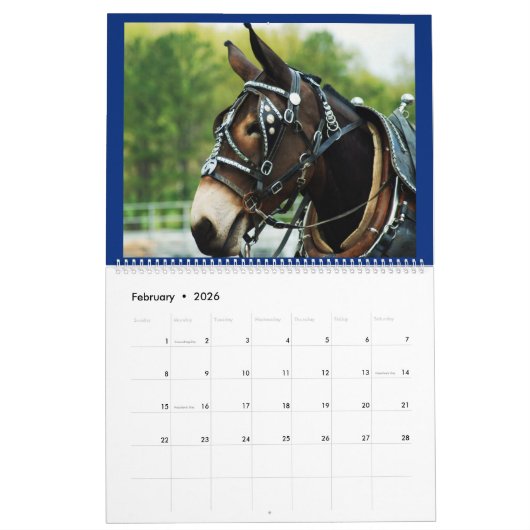 MULES MULES MULES KALENDER (Feb 2026)