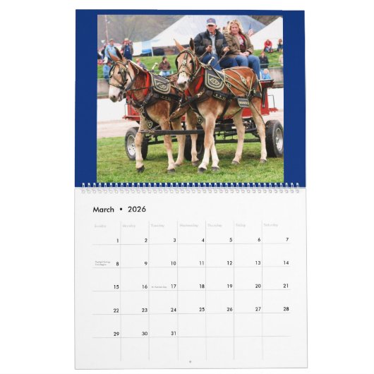 MULES, MULES, MULES KALENDER (Mar 2026)