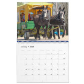 MULES, MULES, MULES KALENDER (Jan 2026)
