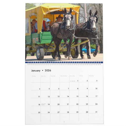 MULES, MULES, MULES KALENDER (Jan 2026)