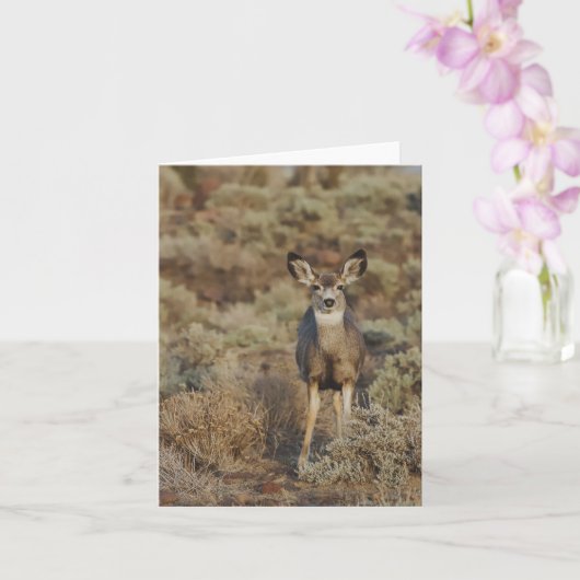 Muley in the Sage - 4" x 5.6" Notecard Kaart (Orchidee)