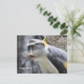 Muli-kleurige Wolf Monkey Briefkaart (Staand voorkant)