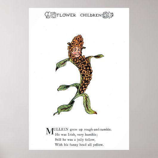 Mullein Poster (Voorkant)