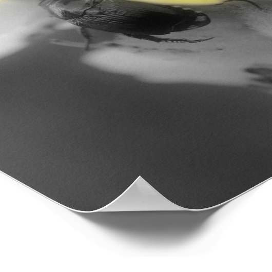 Mullein-ventilator met zijbalkkleur poster (Hoek)