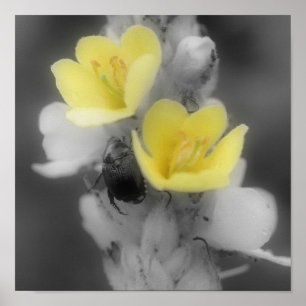 Mullein-ventilator met zijbalkkleur poster